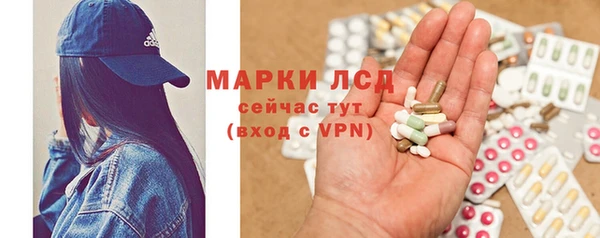 гашик Алексин