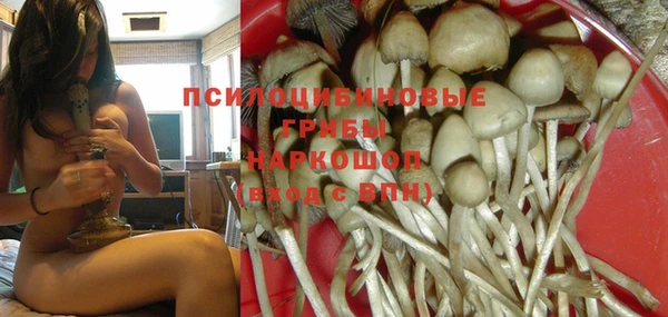 первитин Абинск