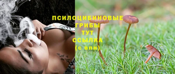 ешки Абаза
