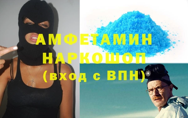 гашик Алексин